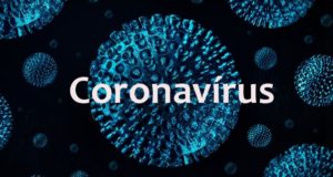 Coronavirus 1 Notícias E Artigos Contábeis Em Santos | Portal Contabilidade - PORTAL CONTABILIDADE