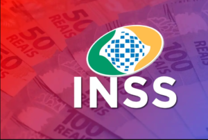 Inss Notícias E Artigos Contábeis Em Santos | Portal Contabilidade - PORTAL CONTABILIDADE